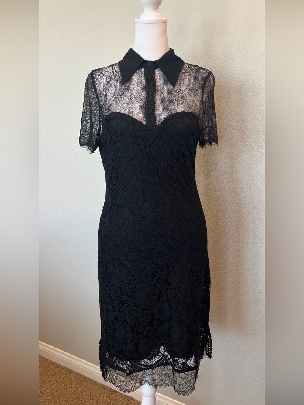 Bel Air Black Floral Lace Collared Short Sleeve Mini Dress Size Small